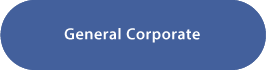 General Corporate